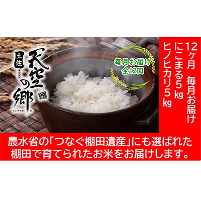 【毎月定期便】土佐天空の郷5kg食べ比べセット定期便 毎月お届け 全12回