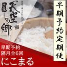【2ヵ月毎定期便】土佐天空の郷「にこまる」4kg隔月お届け全6回