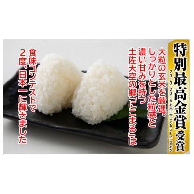 【2ヵ月毎定期便】土佐天空の郷「にこまる」4kg隔月お届け全6回