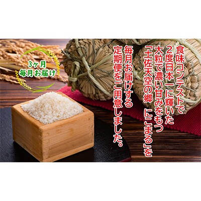 【毎月定期便】土佐天空の郷「にこまる」10kg毎月お届け全3回