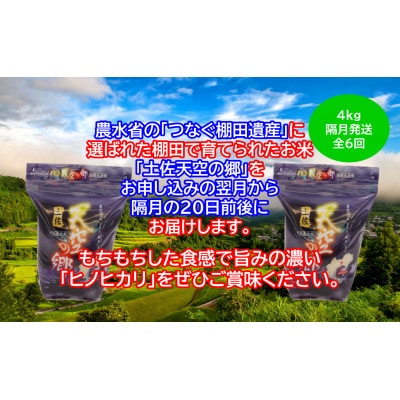 【2ヵ月毎定期便】土佐天空の郷「ヒノヒカリ」4kg隔月お届け全6回