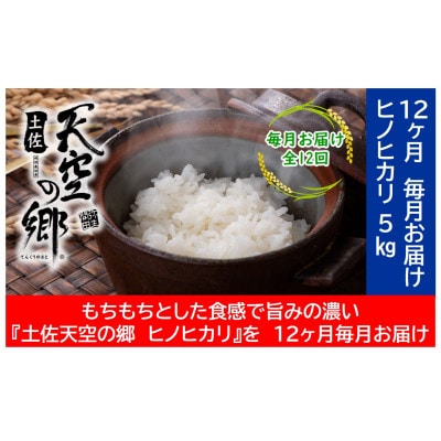 【毎月定期便】土佐天空の郷「ヒノヒカリ」5kg毎月お届け全12回