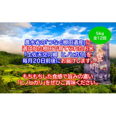 【毎月定期便】土佐天空の郷「ヒノヒカリ」5kg毎月お届け全12回