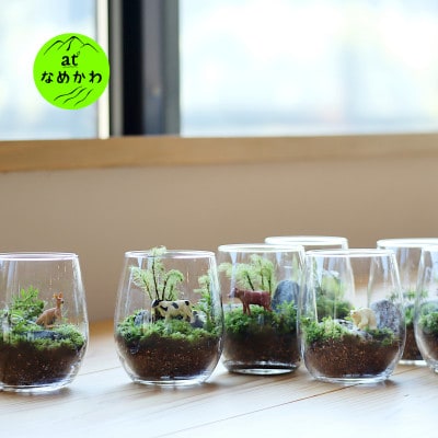 小さな自然に癒される【苔テラリウム作り体験】利用券