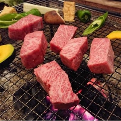 土佐あかうし　モモステーキ　800g