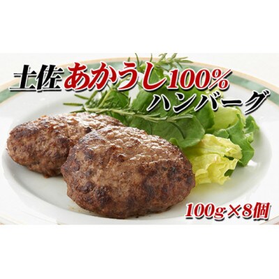土佐あかうし　ハンバーグ　100g×8個