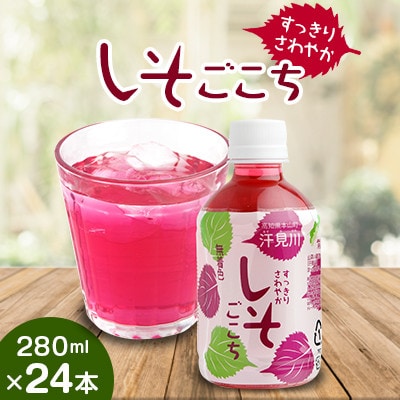 すっきりさわやかしそごこち　24本セット