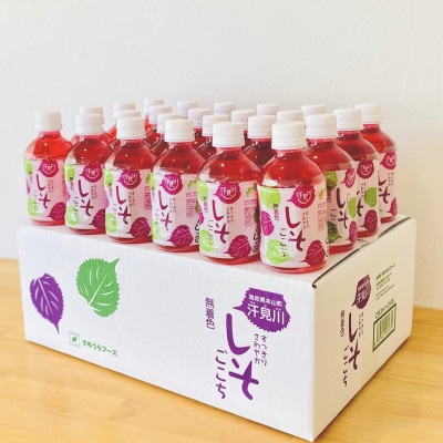 すっきりさわやかしそごこち　24本セット