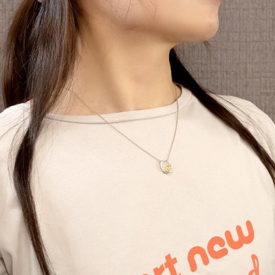 薔薇(18金) 馬蹄(プラチナ) ダイヤモンドペンダントトップ ネックレス240513200dpy