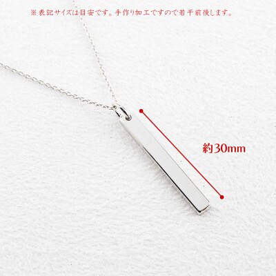純プラチナ ペンダントトップ 造幣局検定刻印付 バー メンズ 251204201