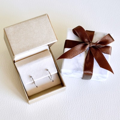 Pt900 プラチナ 地金 パイプ フープ 定番 ピアス(直径15mm) 保証書付 KO-0075