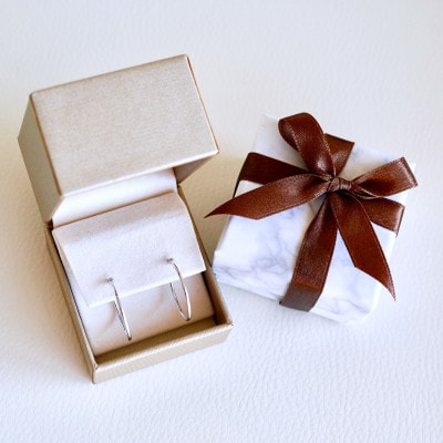 Pt900 プラチナ 地金 パイプ フープ 定番 ピアス(直径20mm) 保証書付 KO-0078