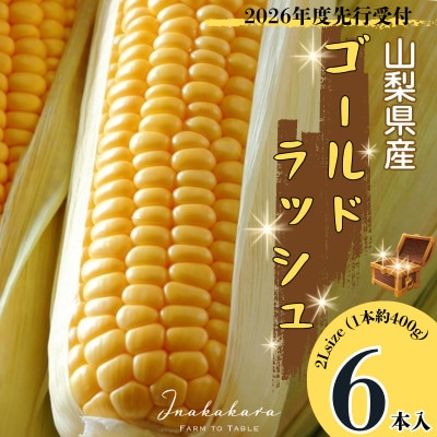 【先行予約】2026年6月より順次発送　山梨県産ゴールドラッシュ2Lサイズ×6本セット