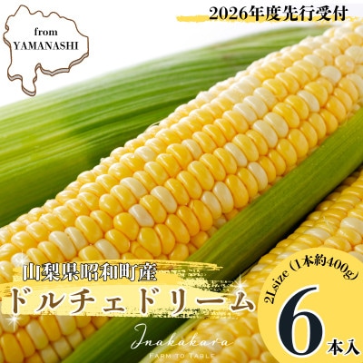 【先行予約】2026年6月より順次発送　山梨県産ドルチェドリーム2Lサイズ×6本セット