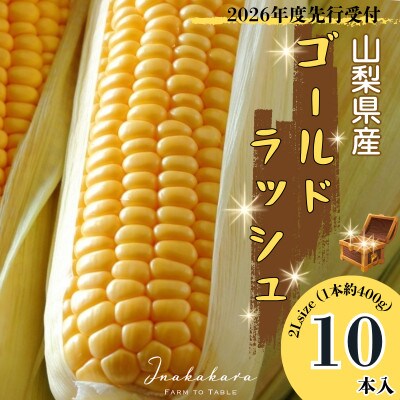 【先行予約】2026年6月より順次発送　山梨県産ゴールドラッシュ　2Lサイズ×10本セット