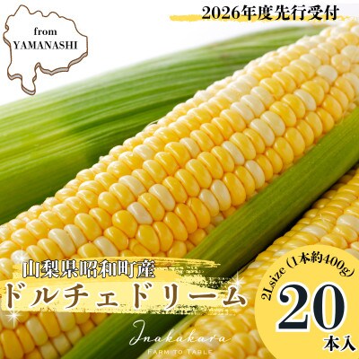 【先行予約】2026年6月より順次発送　山梨県産ドルチェドリーム　2Lサイズ×20本セット