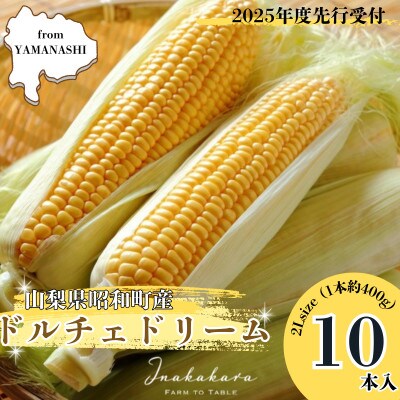 【先行予約】2025年6月より順次発送　山梨県産ドルチェドリーム　2Lサイズ×10本セット