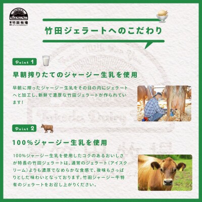 富山県産ジャージー牛乳の濃厚ジェラート!竹田ジェラート |カップ★濃厚ミルクセット★