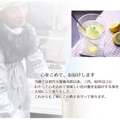 蜂蜜おじさんの四季5本セット