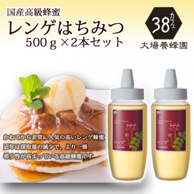 富山県産レンゲ蜂蜜500g　2本セット