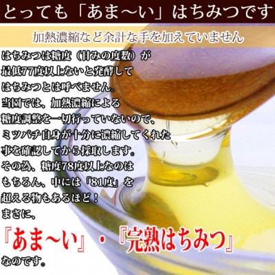 富山県産トチの木蜂蜜500g　2本セット