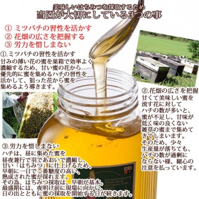 富山県産トチの木蜂蜜500g　2本セット