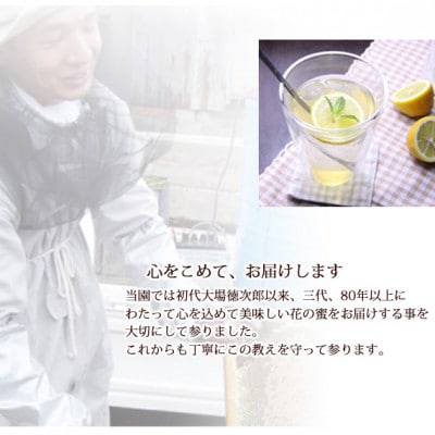 富山県産トチの木蜂蜜500g　2本セット