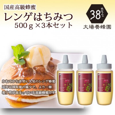 富山県産レンゲ蜂蜜500g　3本セット