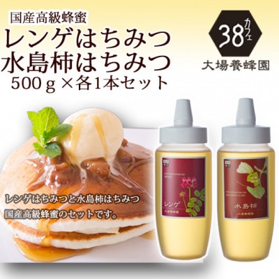 富山県産レンゲ蜂蜜500g×1本・水島柿蜂蜜500g×1本　セット