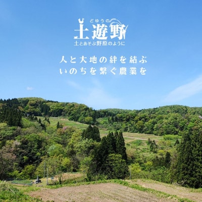 有機米コシヒカリ3kg　棚田-tanata-(有機JAS認証米)