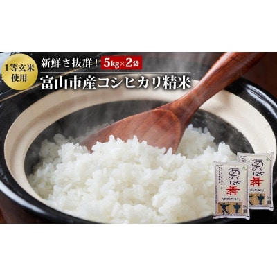 富山市産コシヒカリ精米5kg×2袋(10kg)