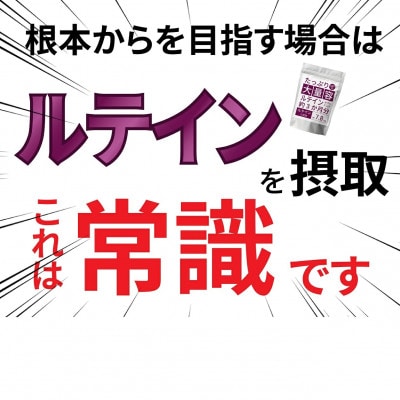 【2個セット】ルテインサプリメント 1袋540粒入り