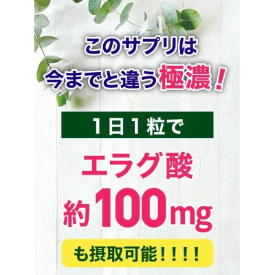 エラグ酸 サプリ 高濃度 1日100mg たっぷり極濃エラグ酸サプリメント 30粒