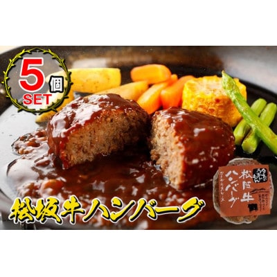 松阪牛ハンバーグ　デミグラスソース　170g×5個セット　冷凍　レトルト