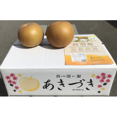 あきづき(呉羽梨)　3kg箱