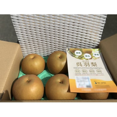 あきづき(呉羽梨)　3kg箱