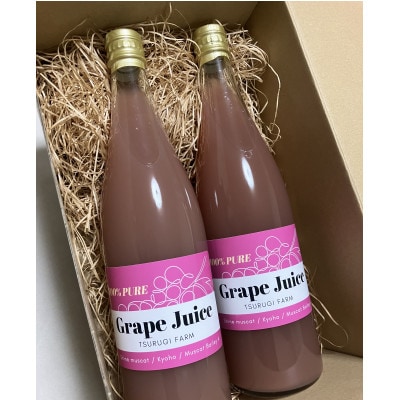 富山県富山市産ぶどう100%ジュース720ml×2本