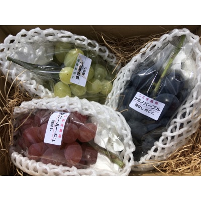 富山県富山市産ぶどう　品種おまかせセット2kg程度 | ふるさと納税のお礼品