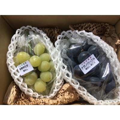富山県富山市産ぶどう　品種おまかせセット1.2kg程度 | ふるさと納税のお礼品