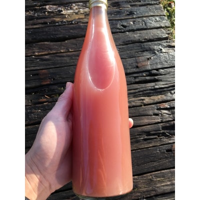 富山県富山市産ぶどう100%ジュース720ml×1本