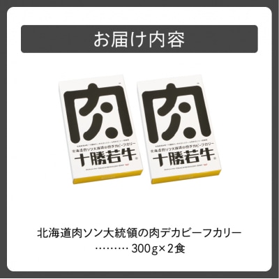 北海道肉ソン大統領の肉デカビーフカリー カレー