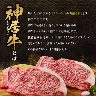 神居牛ローストビーフ×2本 タレ付き