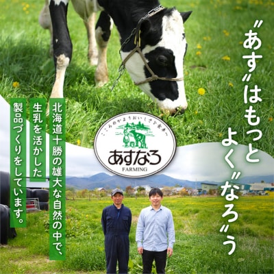 【2回定期便】毎日の食事にプラス!あすなろ乳製品すこやかセット