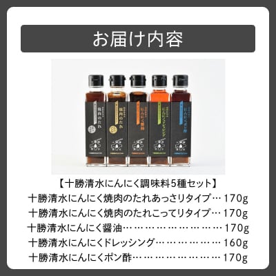 十勝清水にんにく調味料5種セット