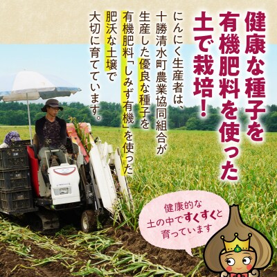 【北海道産】十勝熟成黒にんにく(6玉入)×1箱