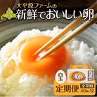 【12回定期便】大平原ファームの新鮮でおいしい卵 計40個(白卵)×12ヶ月