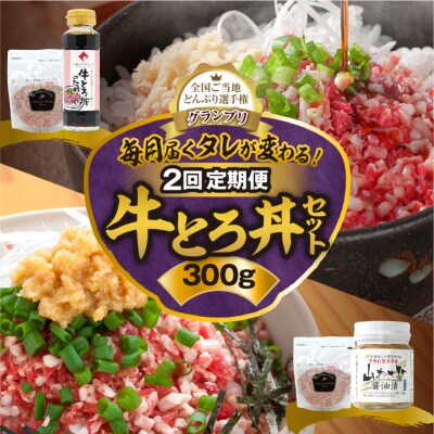 【2回定期便】毎月付属のタレが変わる!?受賞歴多数!牛とろ丼セット300g