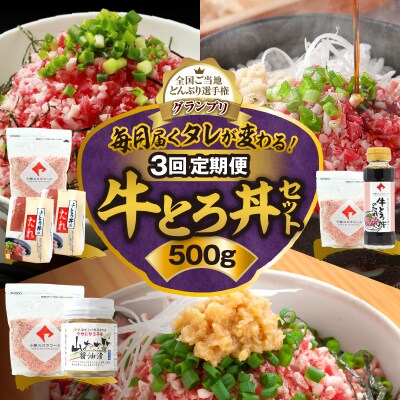 【3回定期便】毎月付属のタレが変わる!?受賞歴多数!牛とろ丼セット500g