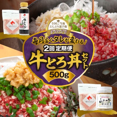 【2回定期便】毎月付属のタレが変わる!?受賞歴多数!牛とろ丼セット500g