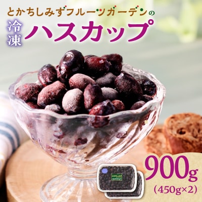 【2026年発送先行受付!】とかちしみずフルーツガーデンの冷凍ハスカップ900g